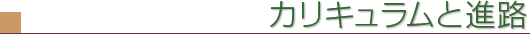 カリキュラムと進路
